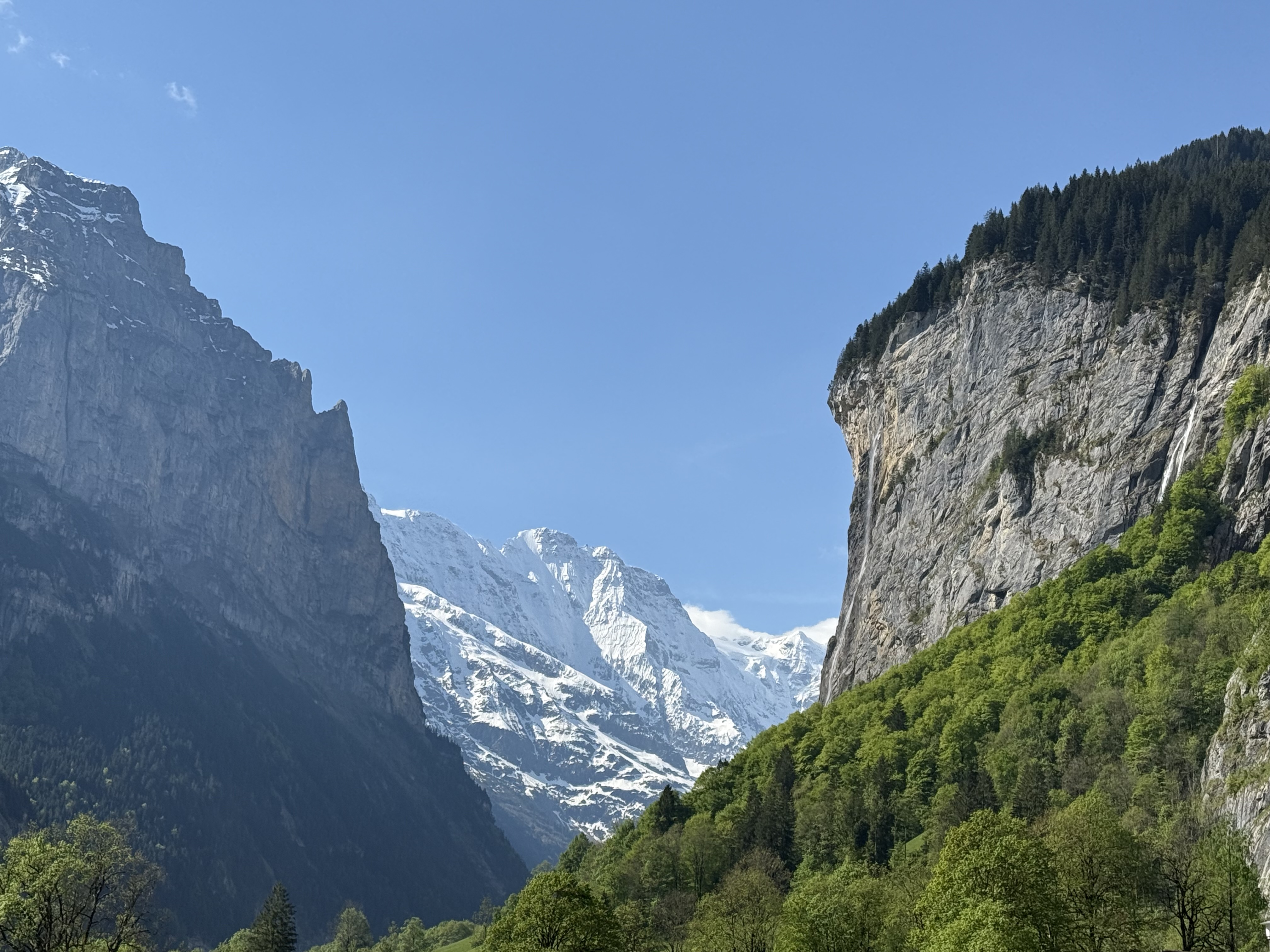 wandercuriously logo